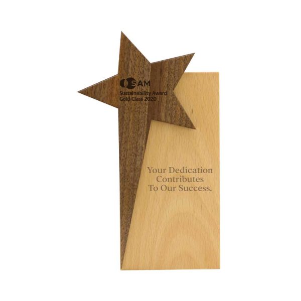 Star Design Wooden Trophy Award with Gift Box